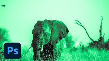 Photoshop Playbook: Black & White Conversion | Adobe Photoshop