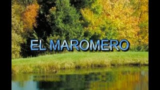 El Maromero - Fusión Vallenata Al Estilo De Guillermo Buitrago - Karaoke