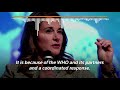 What is the World Health Organization?