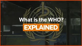 What is the World Health Organization?