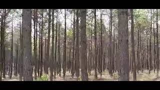 Recorrido por los ejidos de Tezoncualpa-Hidalgo