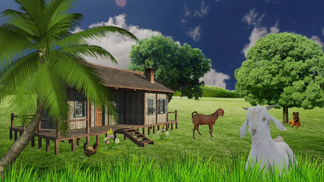 Nature animated video | Nature video animation | Animal video animation ...
