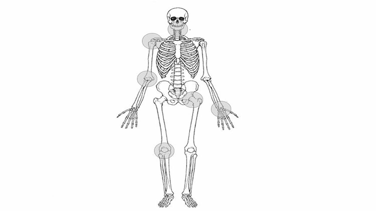 joint-body ASL - YouTube