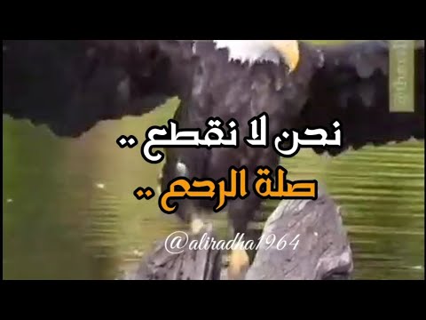 نحن لا نقطع صلة الرحم 