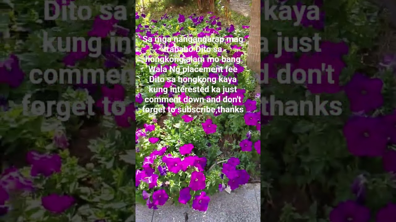 ofw interested work Dito sa hongkong 