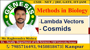 Lambda Vectors | Cosmids | 𝐌ethods in 𝐁𝐢𝐨𝐥𝐨𝐠𝐲 | 𝐂𝐒𝐈𝐑-𝐍𝐄𝐓/𝐉𝐑𝐅 | 𝐆𝐀𝐓𝐄 | 𝐈𝐈𝐓-𝐉𝐀𝐌|