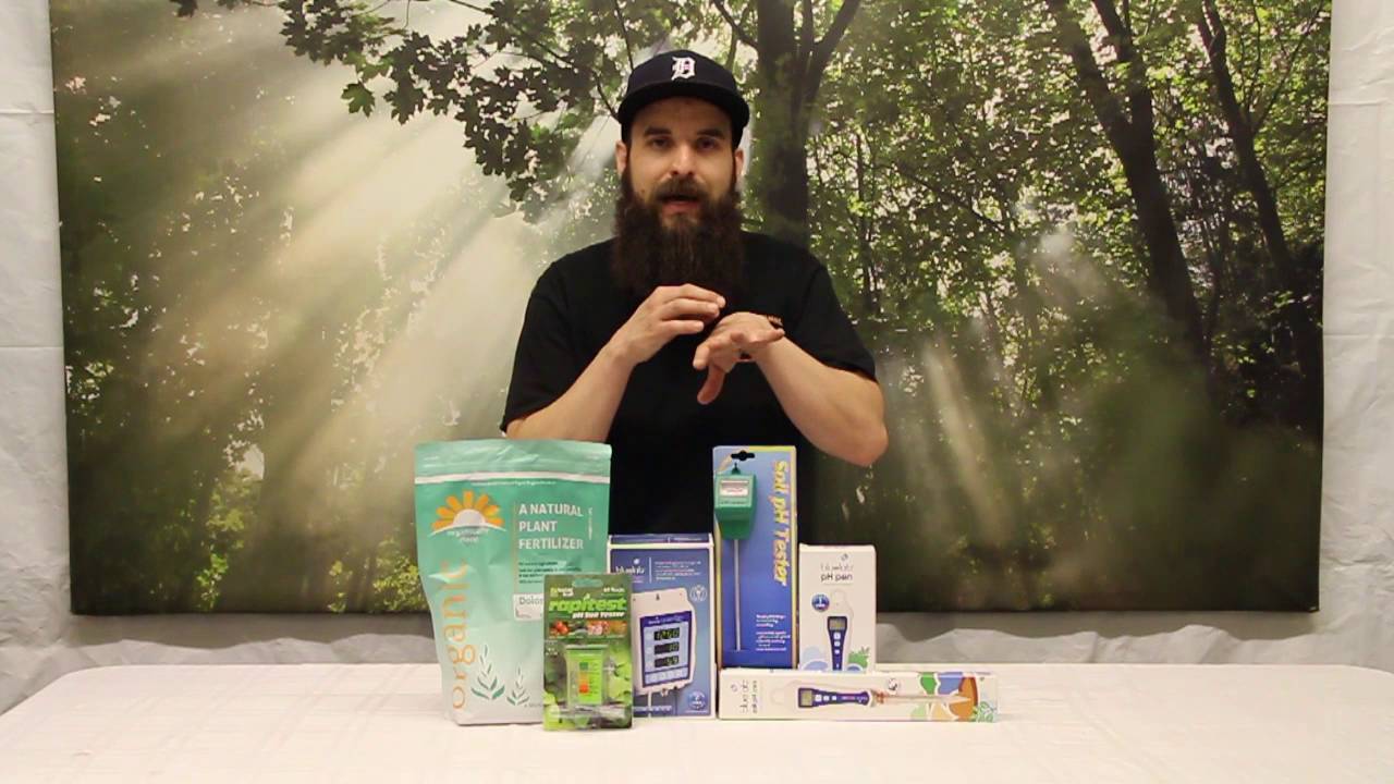 Важность проверки и корректировки уровня pH для растений