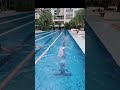 #gáixinh #swimming #swimmin #gril #swim #xuhuongtiktok #xuhuongyoutube #dayboi #dayboitphcm #gai