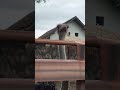 #surahannas #new #seputardakwah #trending #viral #shortsfeed #shortvideo #shorts #alquran