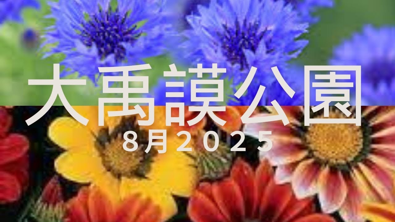 #大禹謨公園　#広島 #安佐南区花いっぱい運動　@SUSTAINABILITYBYSWACHHTA 