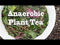 How to Make Anaerobic Plant Fertilizer Tea