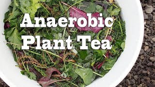 How to Make Anaerobic Plant Fertilizer Tea