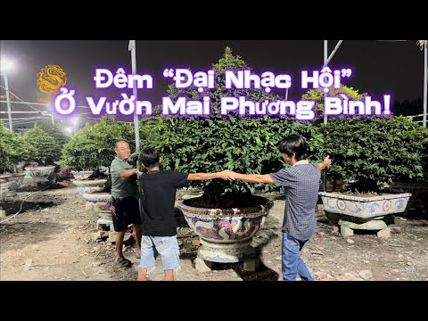 Đêm Đại Nhạc Hội ở Vườn Mai Phương Bình Vùng Đất Rồng