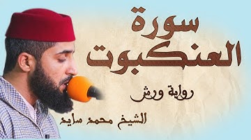 سورة العنكبوت | تلاوة هادئة ومتقنة للشيخ محمد سايد | برواية ورش