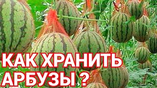 Как хранить разрезанный и целый арбуз в домашних условиях ?