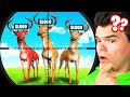 Which Deer Is The REAL SLOGO? (Hide And Seek)