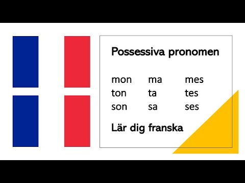 Lär dig franska - Possessiva pronomen   - Lär dig franska