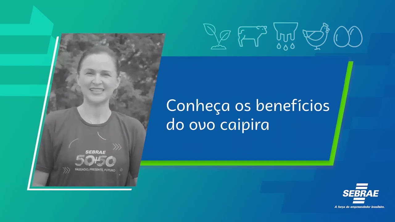 O grande mito do Ovo: Conheça os benefícios do ovo