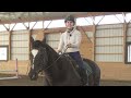 3 exercises for steady rein contact