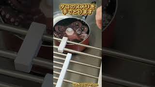 新鮮なタコを茹でます 気まぐれクッキング#タコ#cooking #octopus #刺身 #たこ