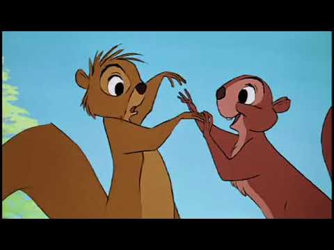 The Sword In The Stone Uranimated18 Version Part 11 Being A Squirrel A Most Befuddling Thing