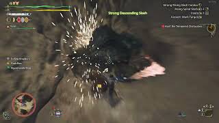 Celebrity someone list this offset on the mhwilds wiki already Wealth