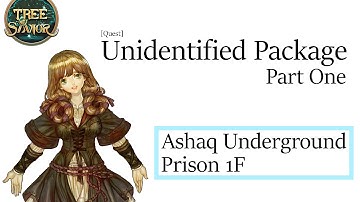 Tree of Savior - Unidentified Package(1) [Quest]