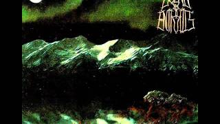 Bound By Entrails - Under The Midnight Sun