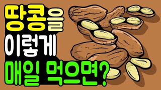 건강에 좋은 땅콩을 매일 이렇게 먹으면? 땅콩의 효능 및 땅콩 먹는방법!