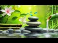 Relaxing music 247 nature soul healing music meditation music spa music sleep study music 7