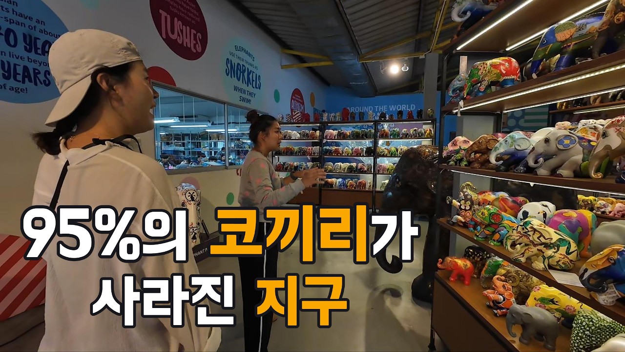 치앙마이 코끼리 투어 이건 어때요? 코끼리는 보호하고 새우는 잡아먹는 치앙마이 일상(세계여행31)