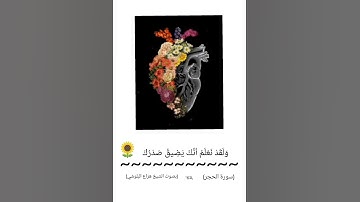 قرآن راحه نفسيه سورة الحجر بصوت الشيخ هزاع البلوشي