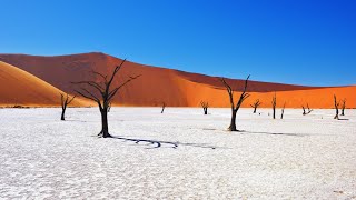 Namibia: A Side Of Africa The Media Won’t Show You