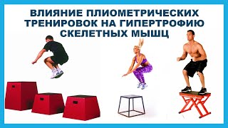 видео: лекция: ВЛИЯНИЕ ПЛИОМЕТРИЧЕСКИХ ТРЕНИРОВОК НА ГИПЕРТРОФИЮ СКЕЛЕТНЫХ МЫШЦ картинка: лекция: ВЛИЯНИЕ ПЛИОМЕТРИЧЕСКИХ ТРЕНИРОВОК НА ГИПЕРТРОФИЮ СКЕЛЕТНЫХ МЫШЦ