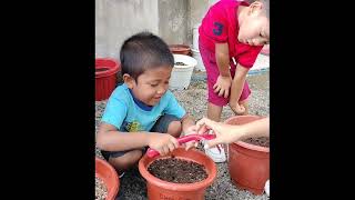 Chok-Dee Learning Ng Center Nursery Planting Activity How To Plant Mung Bean?