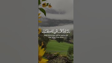 من هو القارئ  المفضل لديك؟‎‏‎کام قورئان خوێن دڵخوازی تۆیە؟‎‏𝗪𝗵𝗶𝗰𝗵 𝗿𝗲𝗮𝗱𝗲𝗿 𝗶𝘀 𝘆𝗼𝘂𝗿 𝗳𝗮𝘃𝗼𝗿𝗶𝘁𝗲