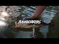 Headbanger BangerRibs video