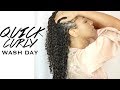 LAZY Wash Day Routine | Fine 3b/3c Hair