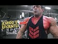 Treino de PEITO COMPLETO - PUMP INSANO😱 - Vlog #3🇺🇸