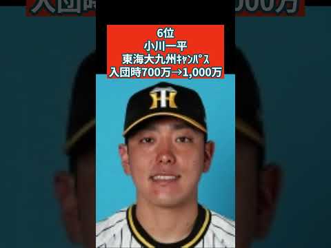 阪神 2019年ドラフト指名選手 2024年年棒  #阪神タイガース #プロ野球 #年俸
