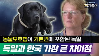 Worldwide Correspondence 한국의 동물학대 사건, 독일에서 처벌받는다면..! 180727 EP.2