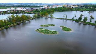 Na dosah s Prokopem Pithartem: Vrbenské rybníky