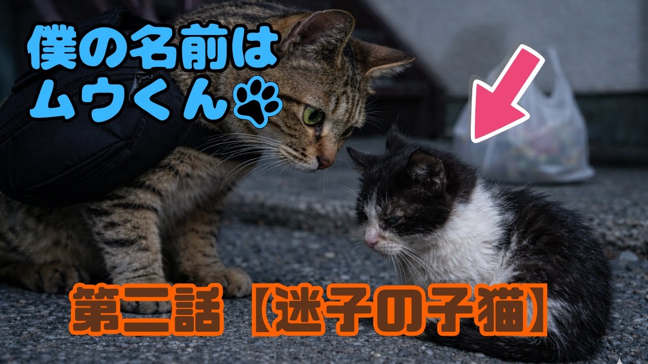 【僕の名前はムウくん】第二話 迷子の子猫 #猫 #cat #aicat #ai猫 #ai  #animation