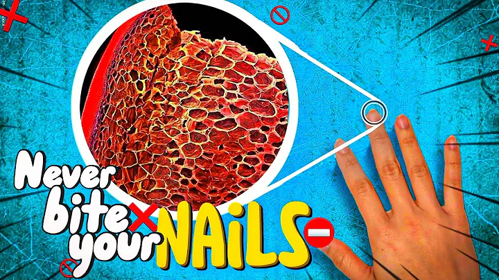 nail under the microscope (ZOOM×1000)#science #microscopy #nail