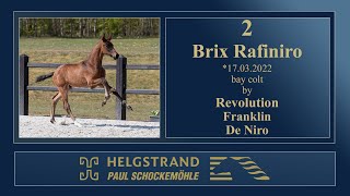 2 - Brix Rafiniro by Revolution/Franklin - Helgstrand-Schockemöhle Auction on June 4th 2022