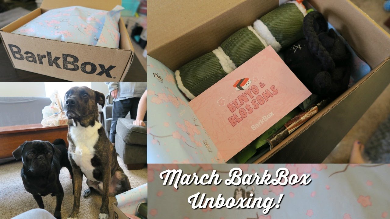 March BarkBox Unboxing! YouTube