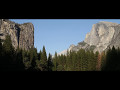 A Walk in the Woods | Yosemite Valley