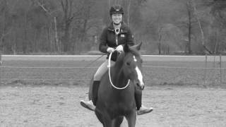 Perfect - Damiana Konka Rpz Diamiro