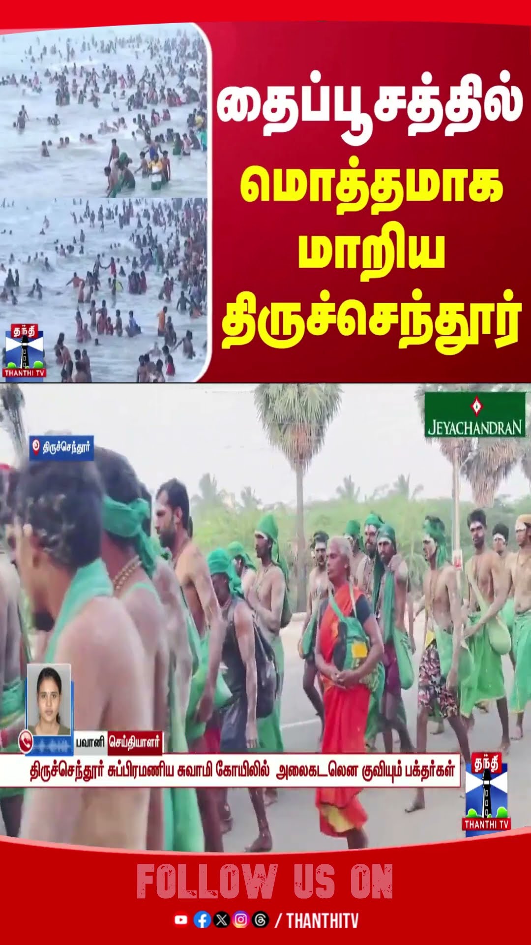 thiruchendur || temple || thaipoosam2025 ||
