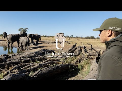 Elephant Hide | Somalisa Camp | Hwange National Park | Zimbabwe
